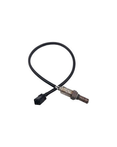 T2204062, Oxygen Sensor, M12