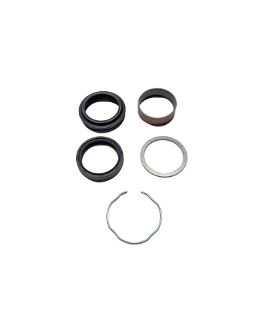 T2049310, Fork Seals Kit