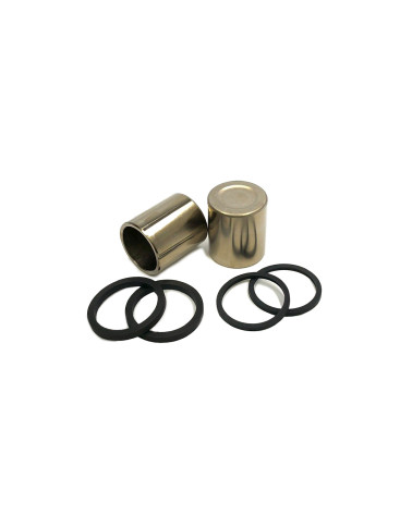 T2020050, Piston Set